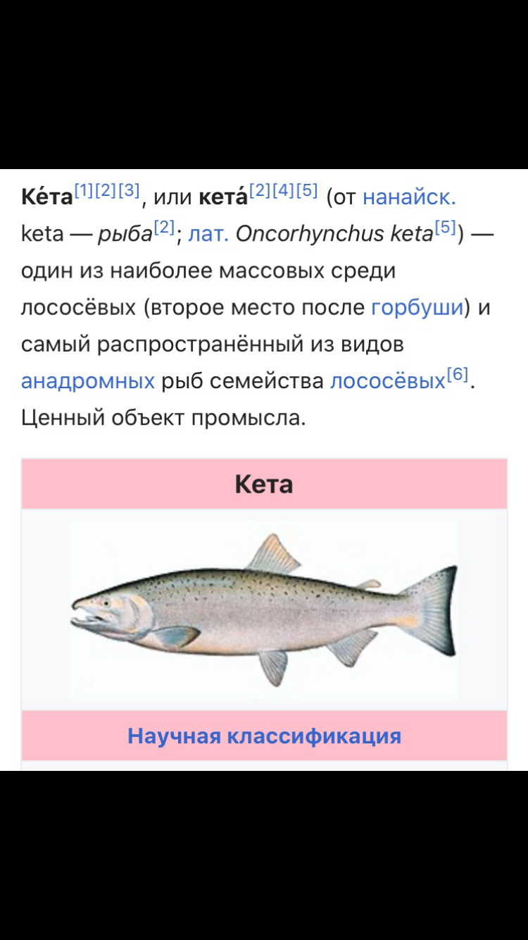 Рыба кета фото и описание