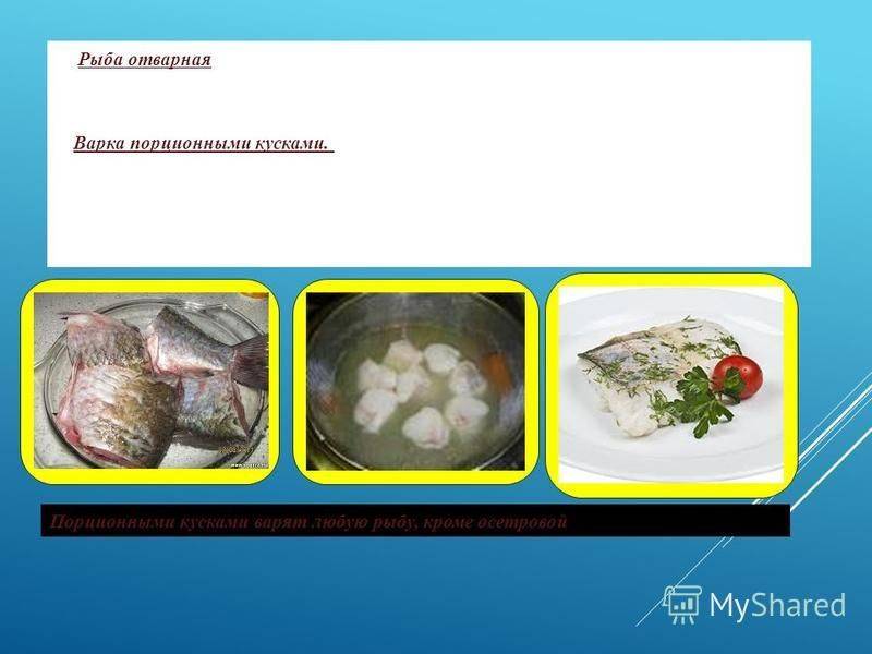 Как правильно сварить рыбу хек — советы и рекомендации