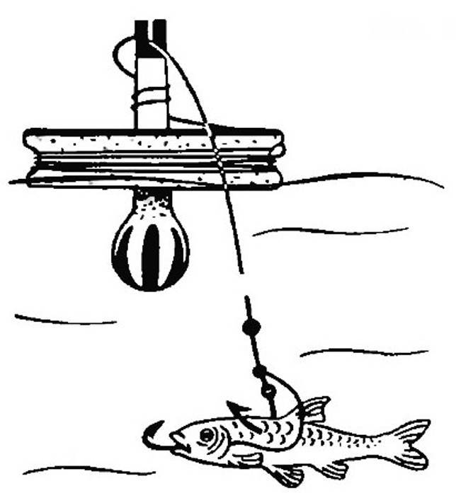 Все тонкости рыбалки на кружки для начинающих