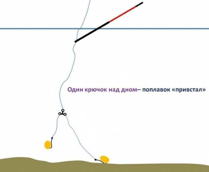 Ловля форели на поплавочную удочку: выбор снасти и места ловли