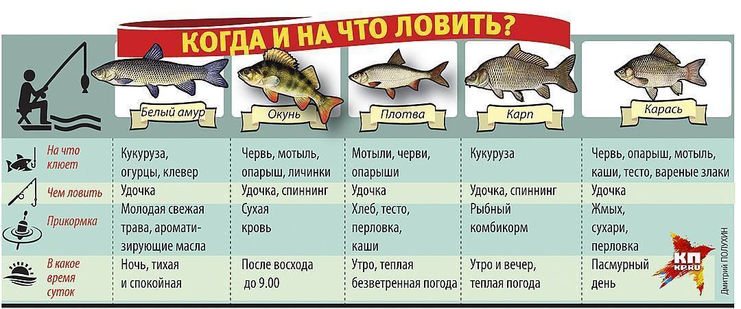 На крючке: как перестать бояться и начать ловить рыбу