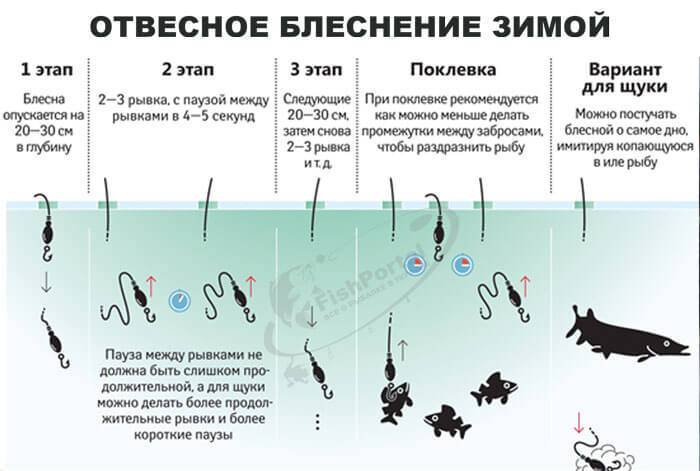 Как сохранить рыбу: на рыбалке без холодильника