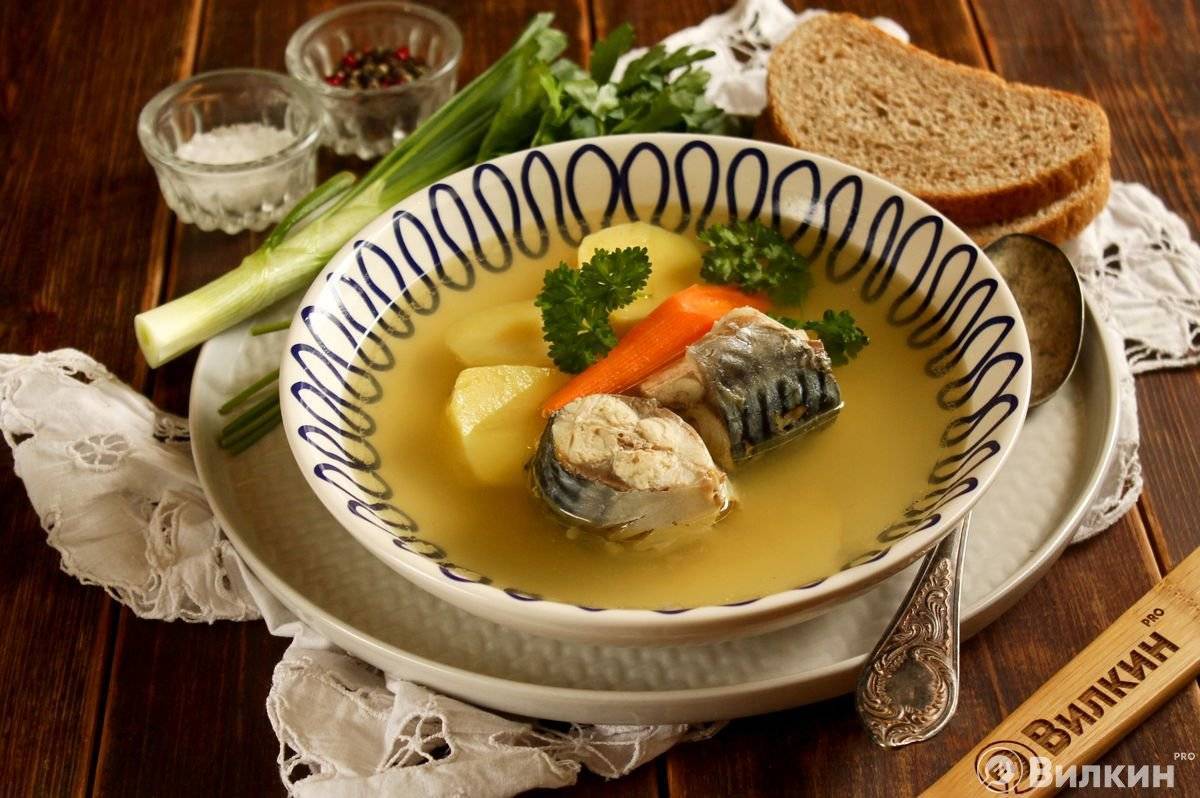 Уха из скумбрии свежемороженой — 7 рецептов, как сварить вкусный рыбный суп