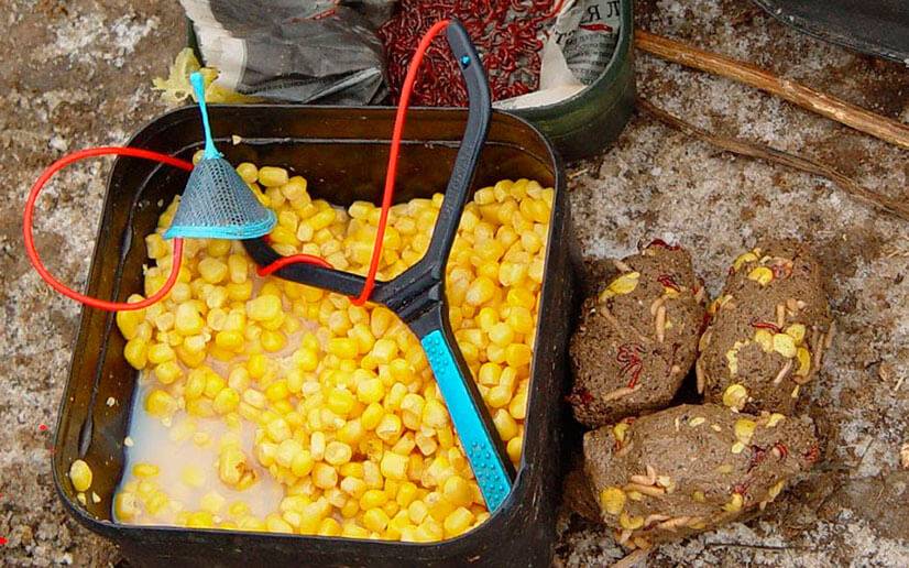 Ферментированная кукуруза для рыбалки приготовление