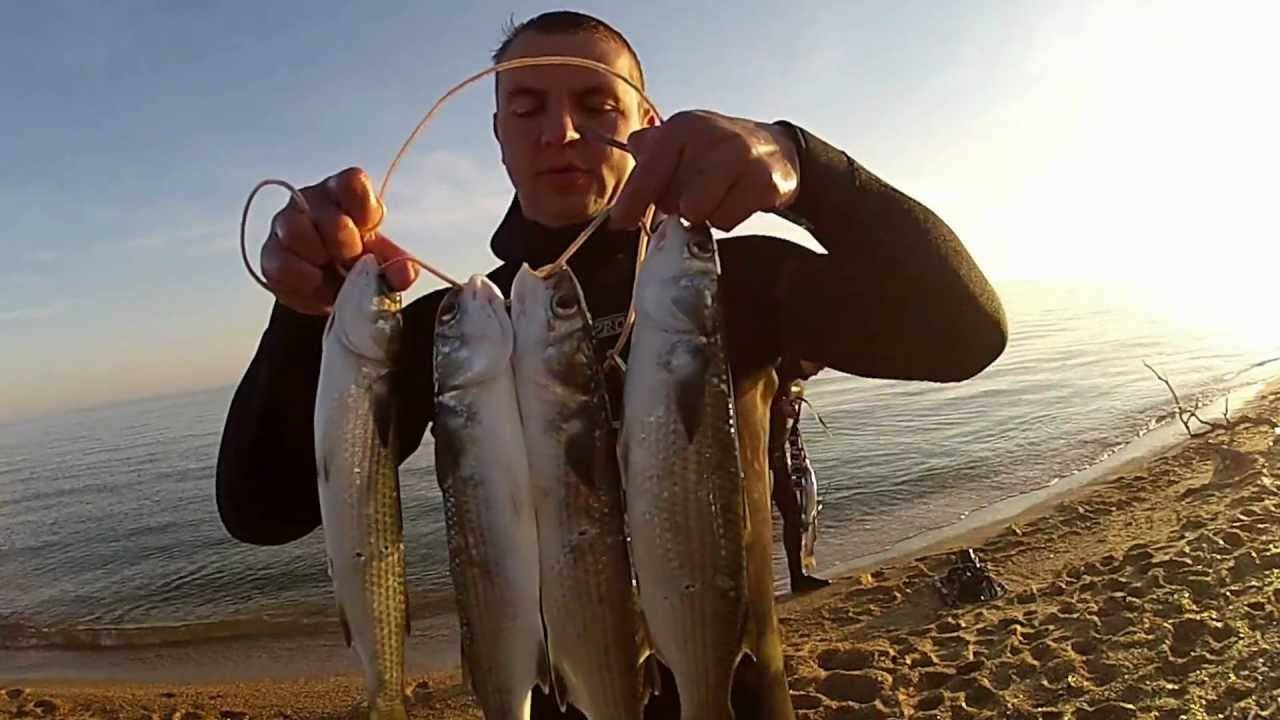 Анапа Где Купить Рыбу