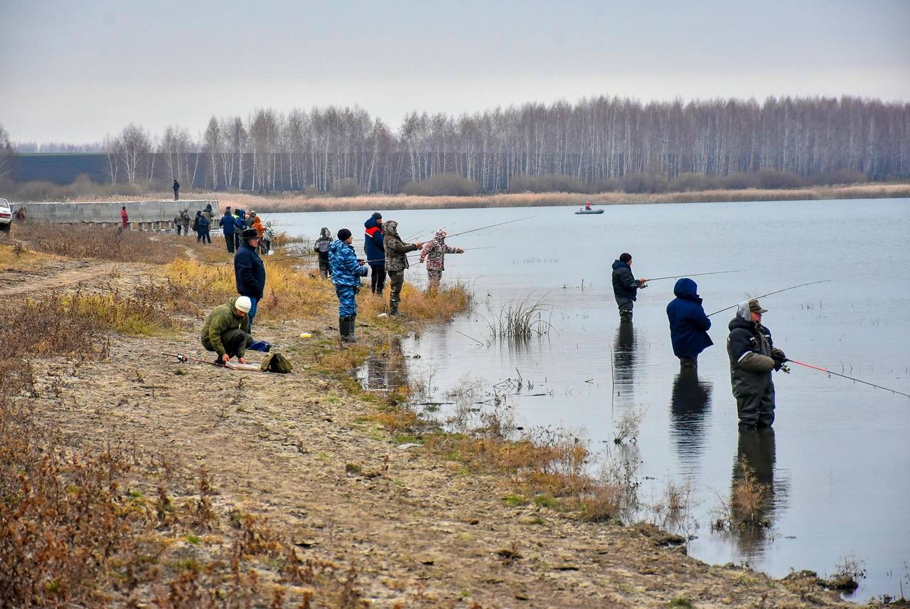 Рыболовные места в липецкой области: реки, озера и лучшие «платники»