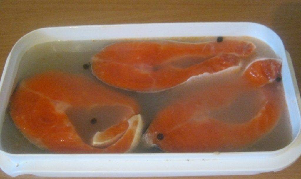 Засолка красной рыбы в домашних условиях рецепты и рекомендации