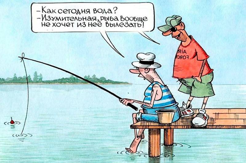 Самые смешные анекдоты про рыбалку и рыбаков | смешные до слез анекдоты, старые и современные