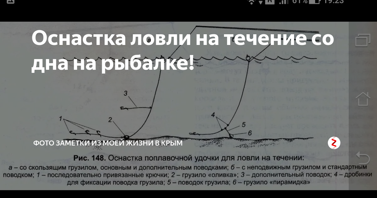 Ловля карася на фидер - тактика, техника и снасти