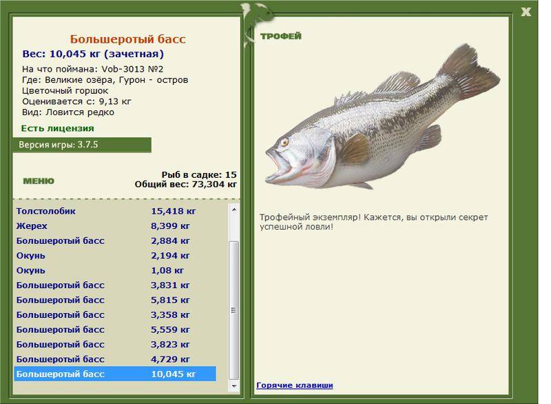 Басс пятнистый фото и описание – каталог рыб, смотреть онлайн