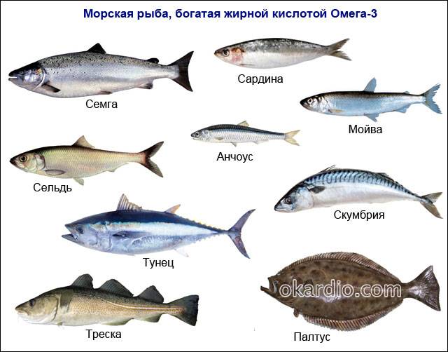 Морские аквариумные рыбки