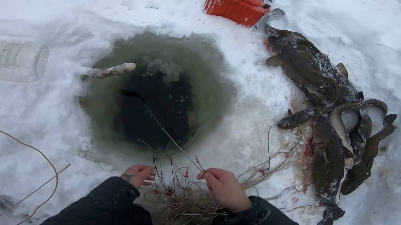 Видео ловля налима зимой на енисее. диалоги о рыбалке | про рыбалку - секреты рыбной ловли