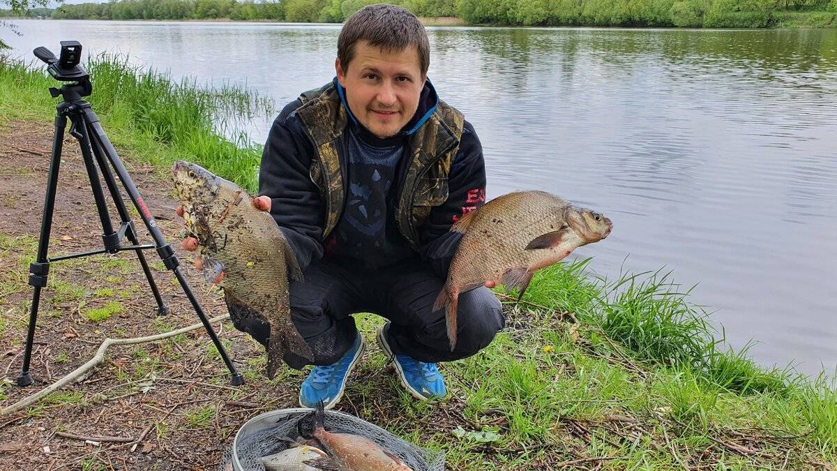 Рыбалка на волге, её особенности, плюсы и минусы | животный мир
