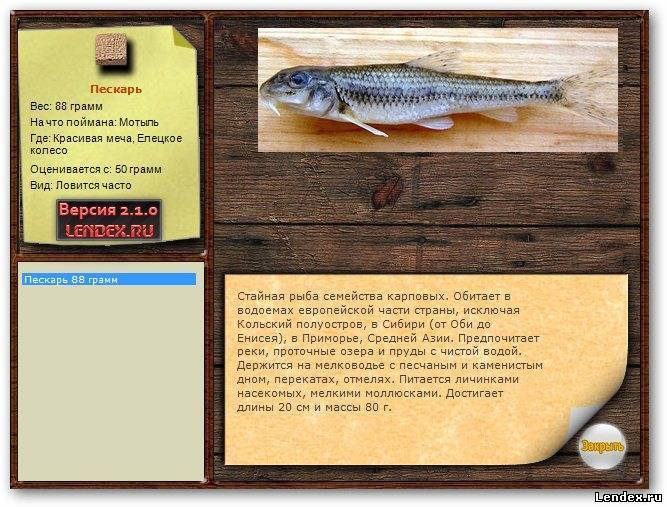 ✅ ловля пескаря на поплавочную удочку, как ловить пескаря - fishyarm.ru