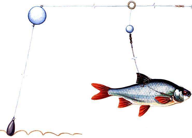 С чего начать начинающему рыболову: нелишние советы бывалого