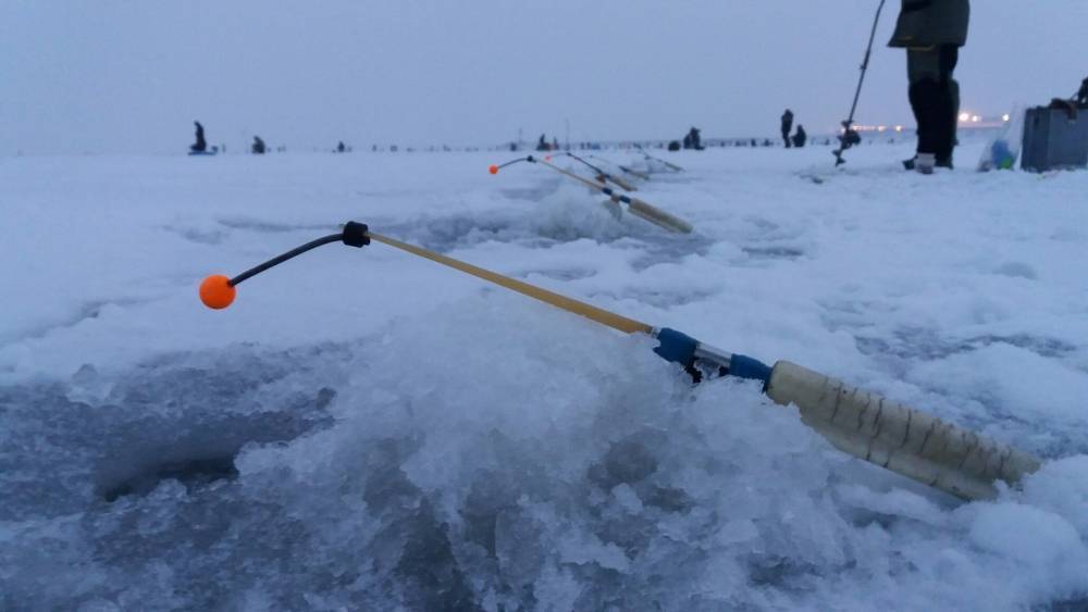 Как ловить корюшку на финском заливе - рыбалка в санкт-петербурге и ленинградской области