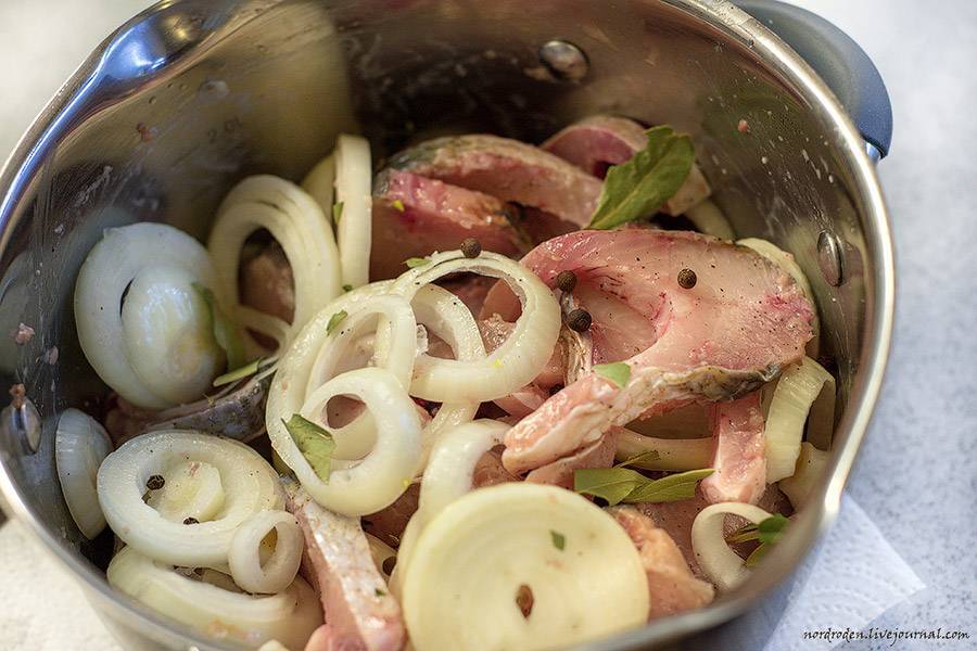 Сугудай – что это такое, из какой рыбы лучше готовить, рецепт сугудая в домашних условиях - onwomen.ru