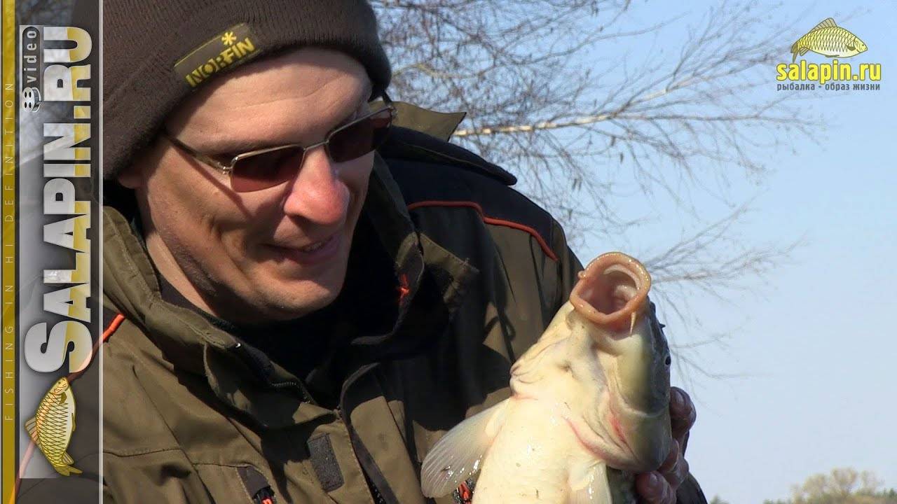 Рыбалка на карпа - смотреть видео о ловле весной, летом и осенью