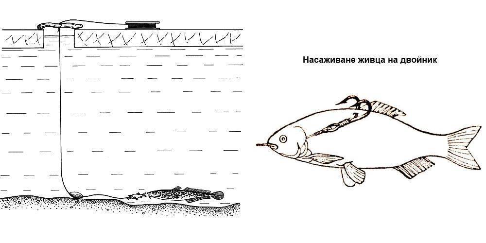 Уловистая снасть на хищную рыбу из пластиковой бутылки