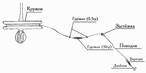 Как ловить карпа на фидер в 2023 году | советы по выбору снастей и насадок