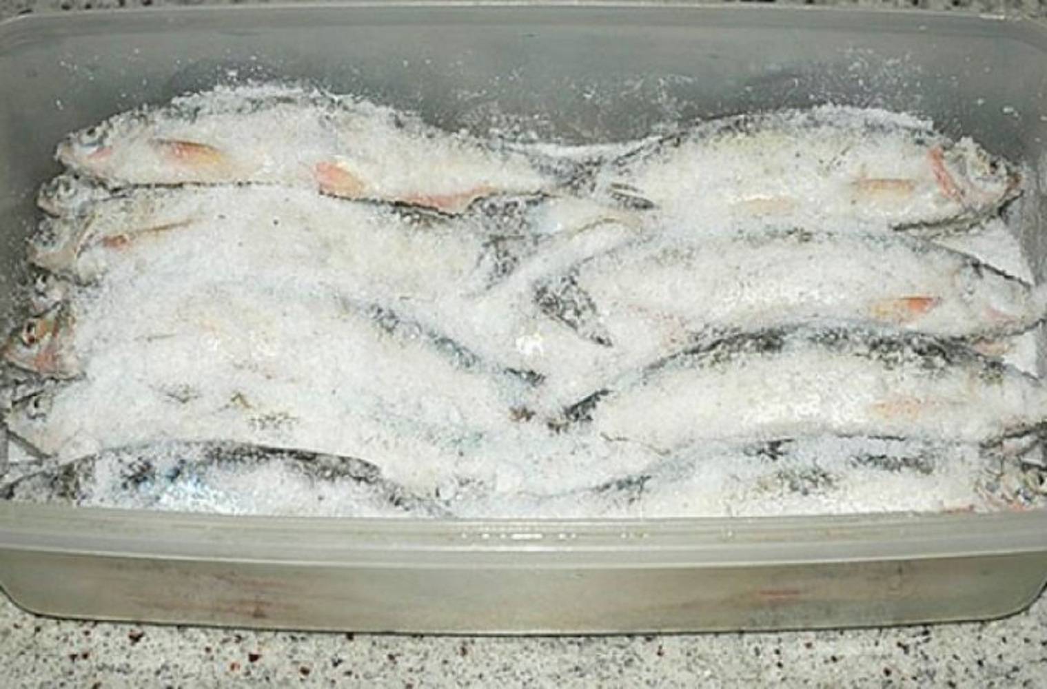 Как правильно завялить рыбу в домашних условиях, как засолить
