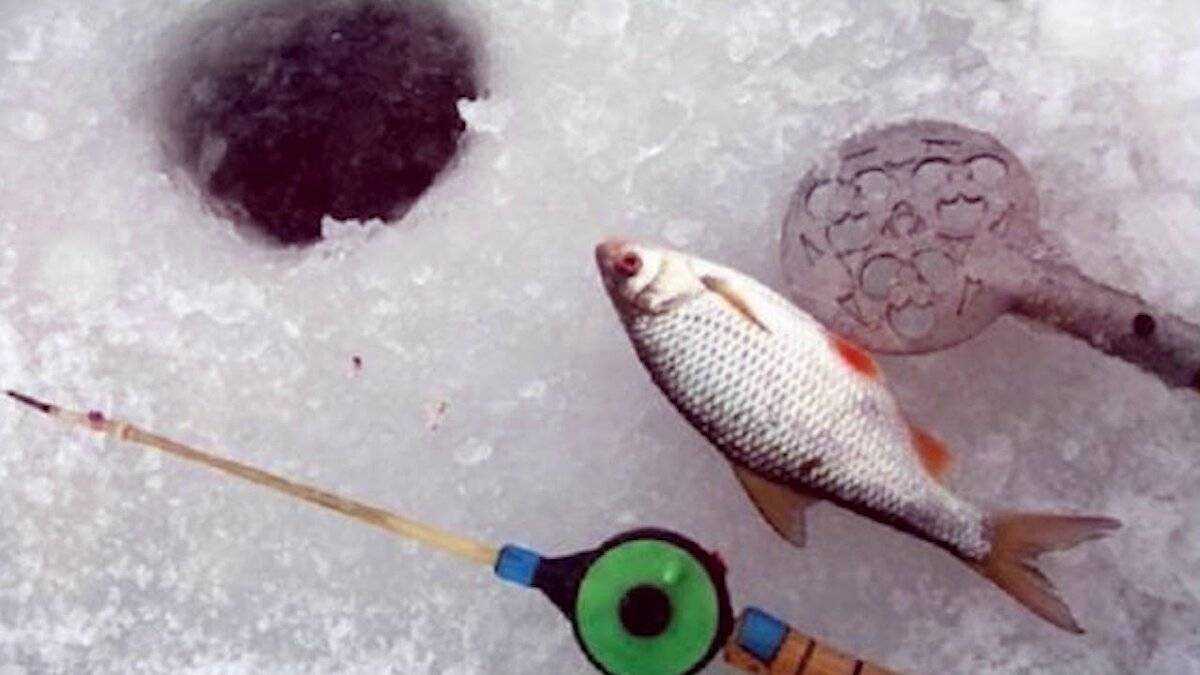 Мормышки для ловли плотвы зимой — лучшие модели для рыбалки, виды, как сделать