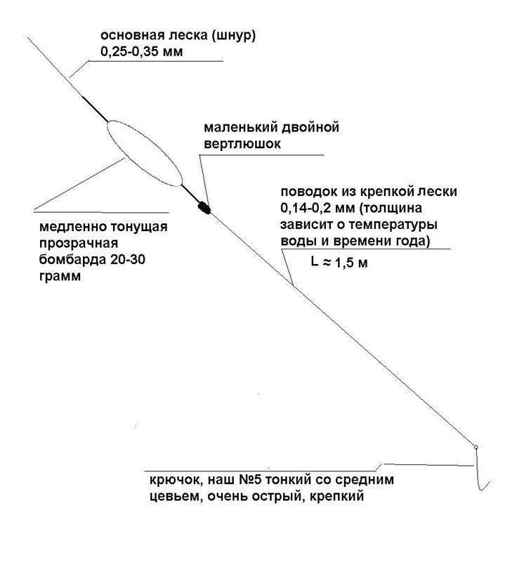 Ловля на бомбарду в черном море