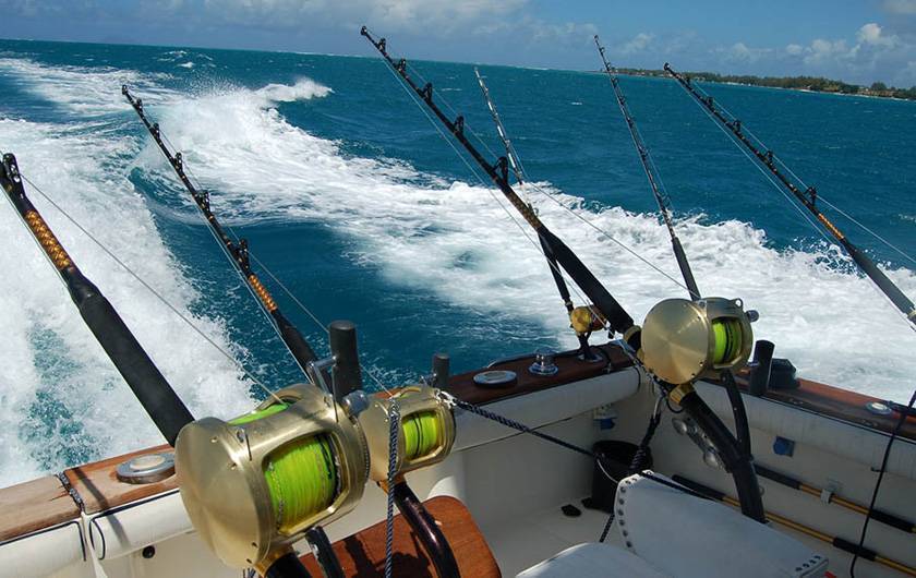 Рыбалка на черном море с берега и лодки: виды рыб и снасти для ловли