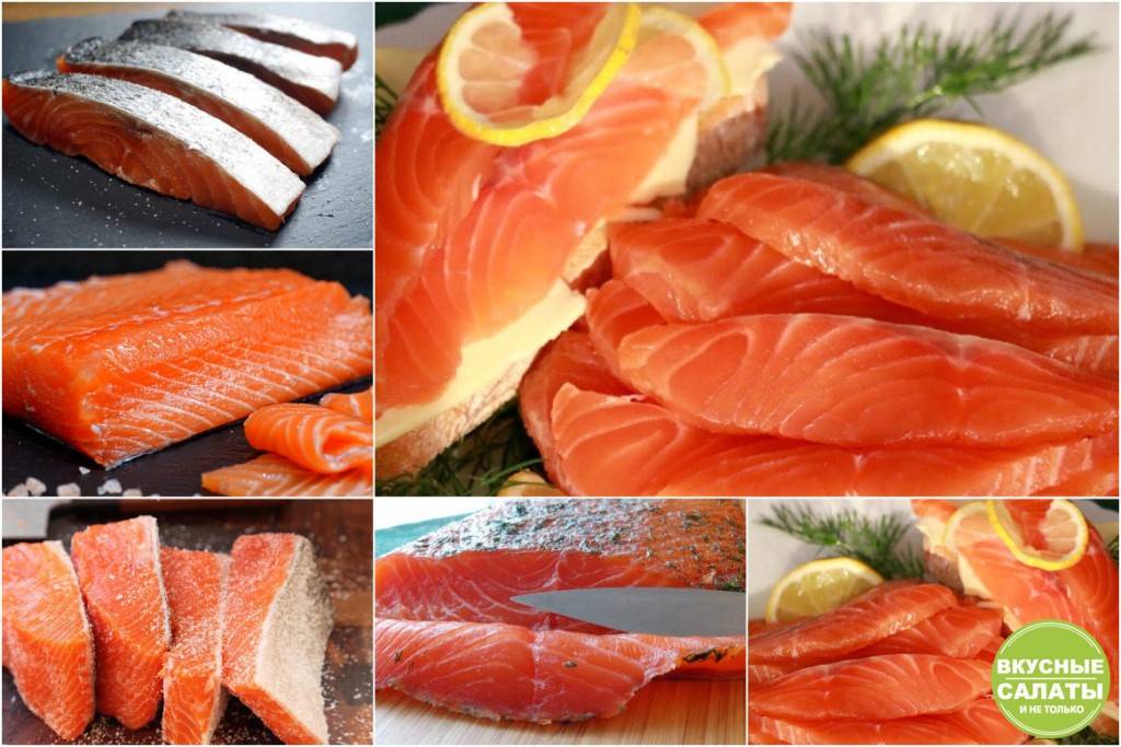 Какая красная рыба лучше для засолки: сравниваем виды лосося