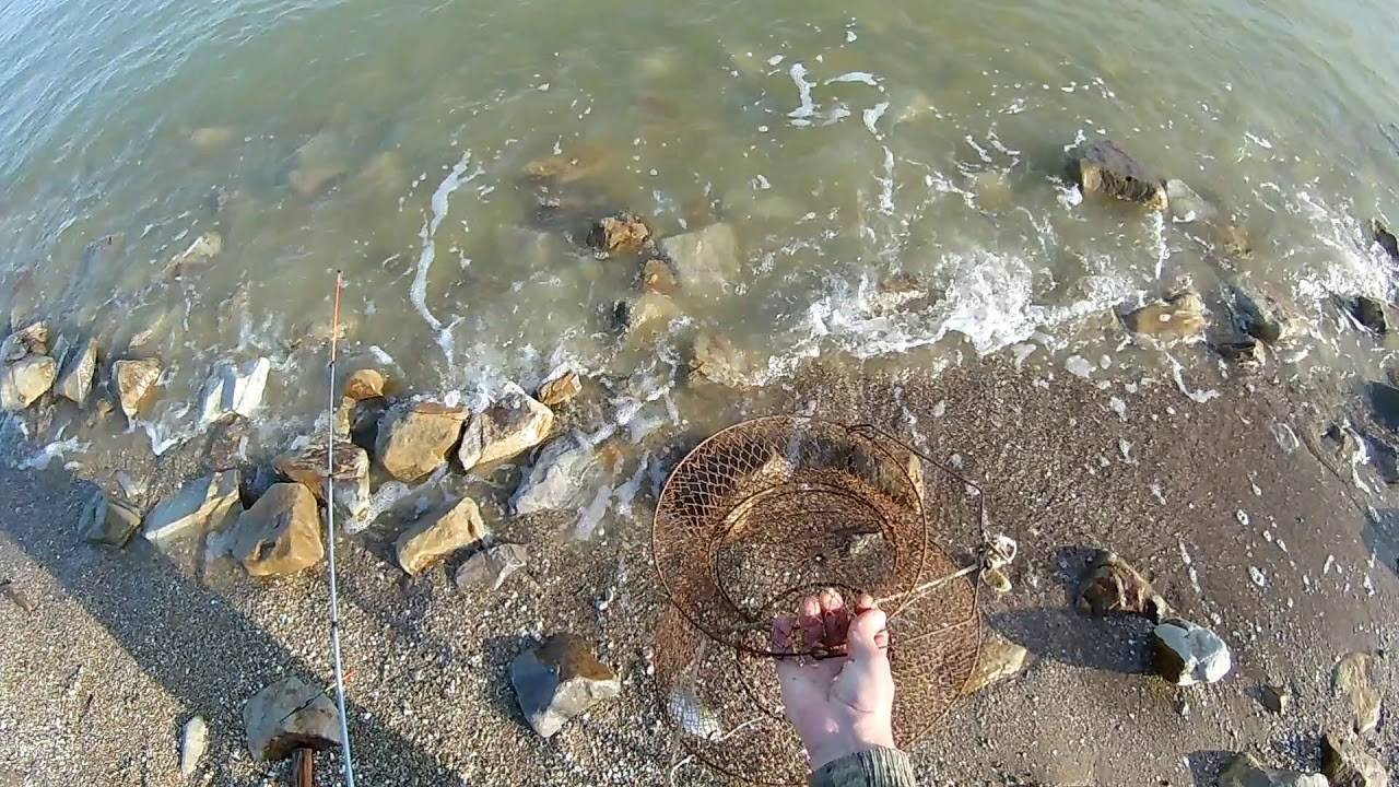 Моря россии — азовское море