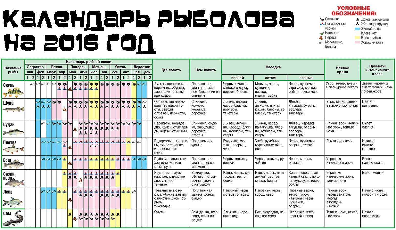 Какое оптимальное атмосферное давление лучше для рыбалки