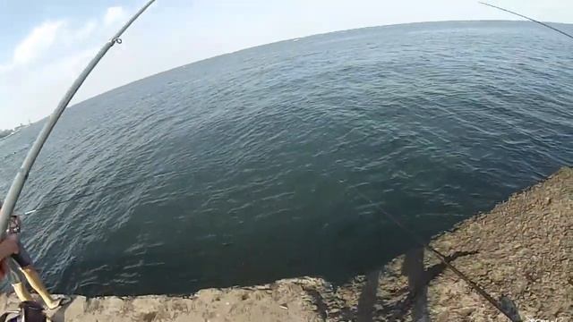 Рыбалка поплавочной удочкой: оснастка, техника ловли