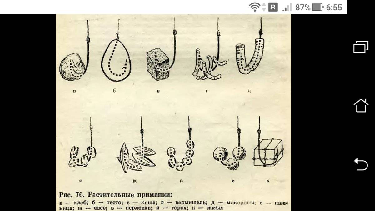 Как правильно выбрать насадку для ловли леща?