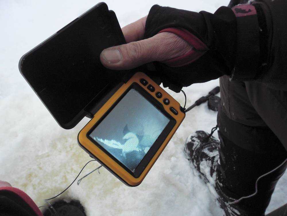 Камеры для подледной ловли на рыбалке зимой, как сделать подводную рыболовную камеру своими руками