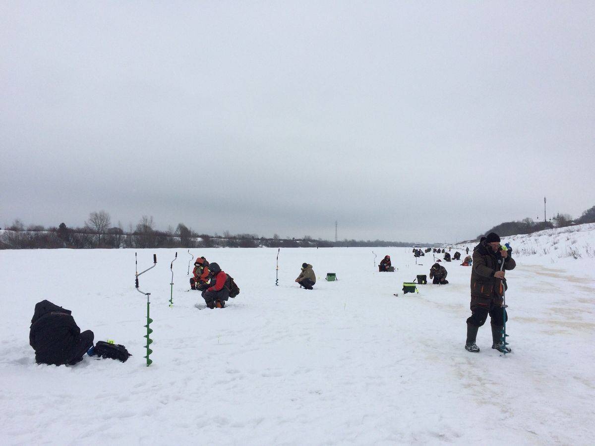 Рыбы наших вод. нижегородская область | рыболовнн ваш рыболовный гид.