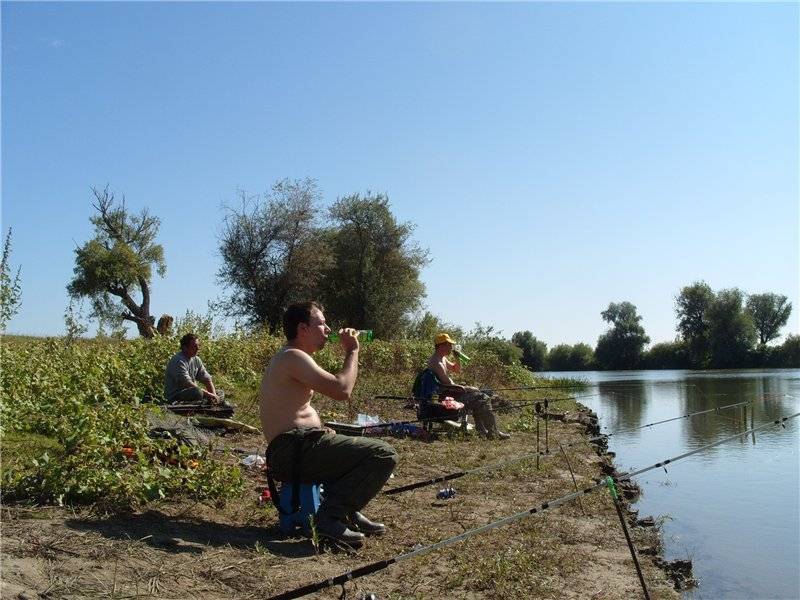 Рыбалка в оренбургской области - читайте на сatcher.fish