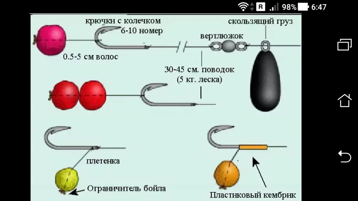 Как выбрать основную леску на карпа и поводок для карпфишинга?