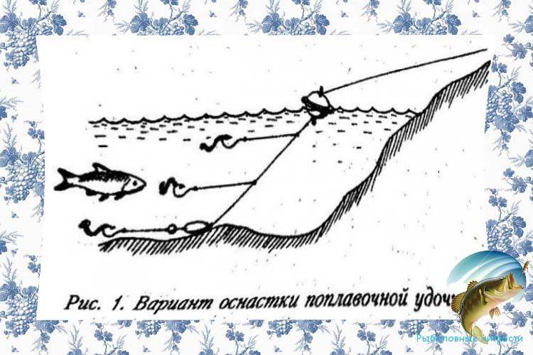 Ловля голавля на майского жука: техника ловли