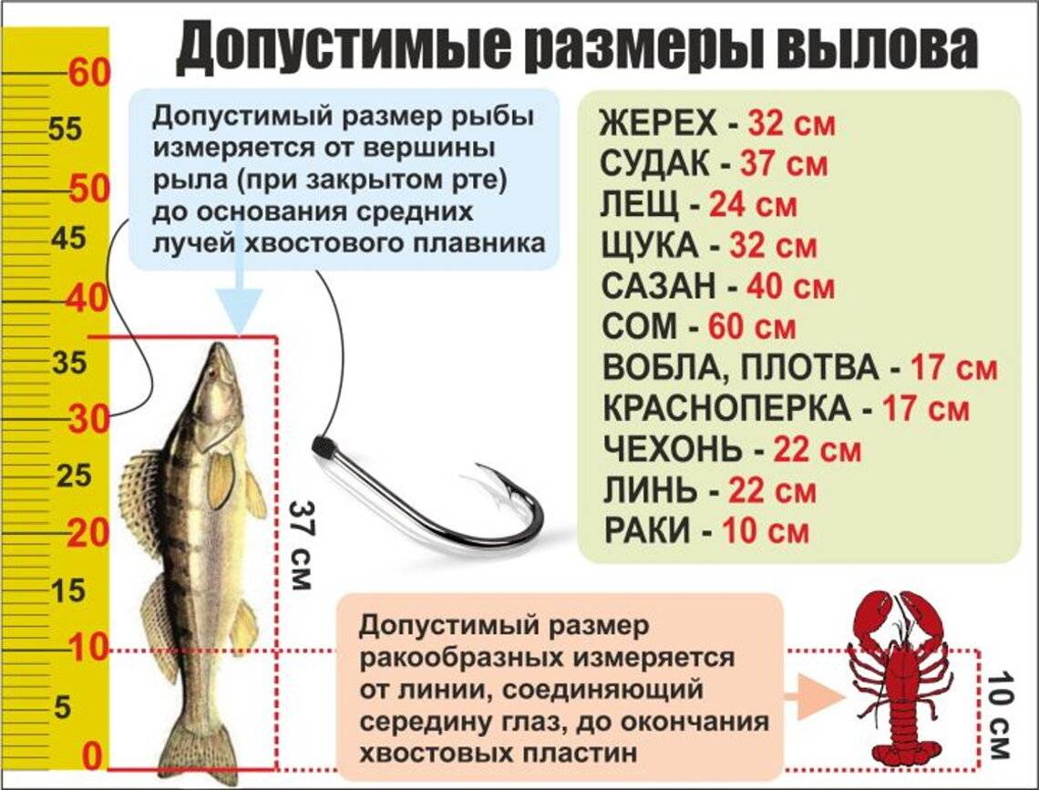 Как рыбачить на спиннинг с берега и лодки - советы новичку