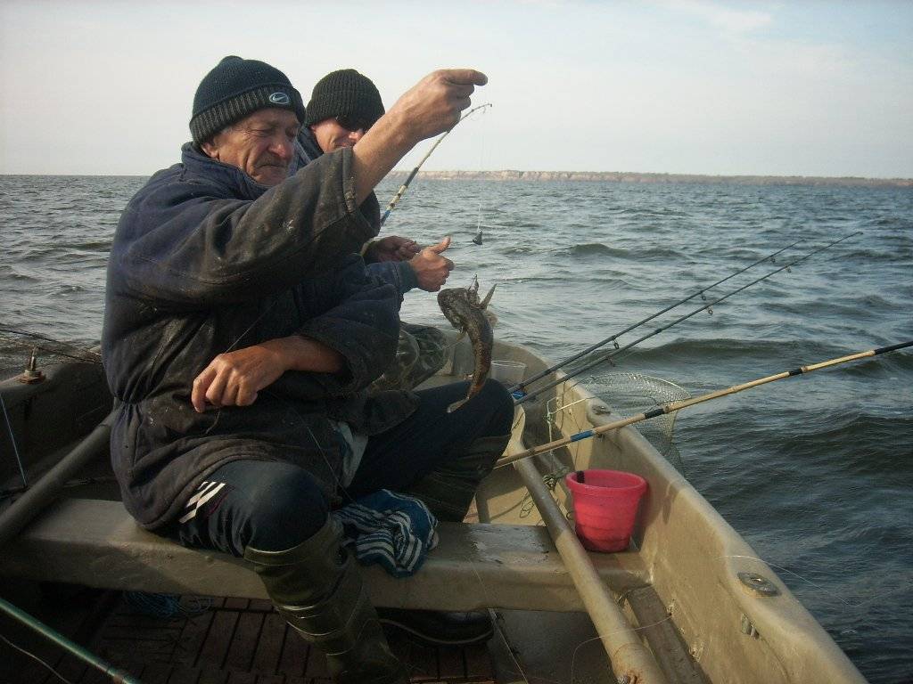 Ловля бычка на черном море: снасти для ловли азовского бычка с берега и лодки