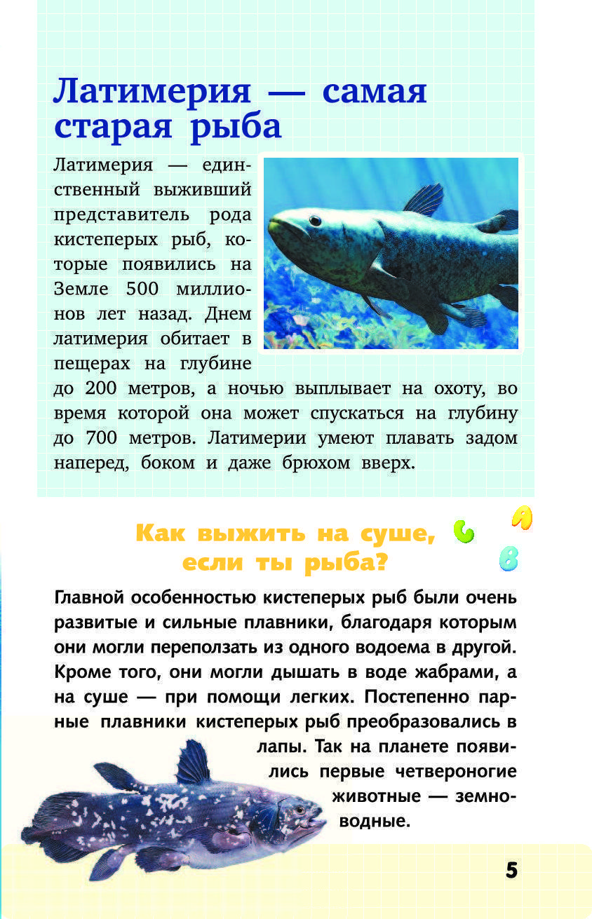 Латимерия - живое ископаемое рыбы - origins.org.ua