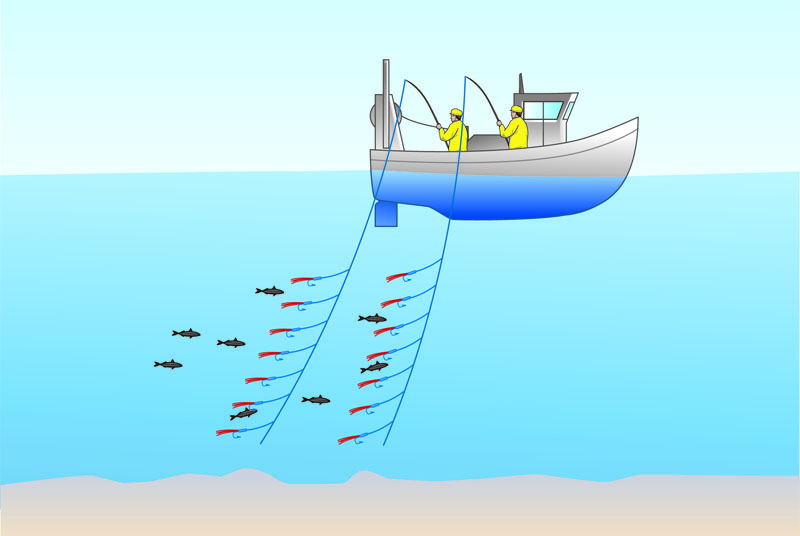 Эхолот для морской рыбалки большая глубина — что выбрать для ловли