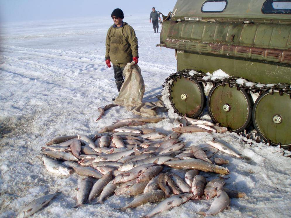 Рыбалка в россии: лучшие места для рыбалки 2023