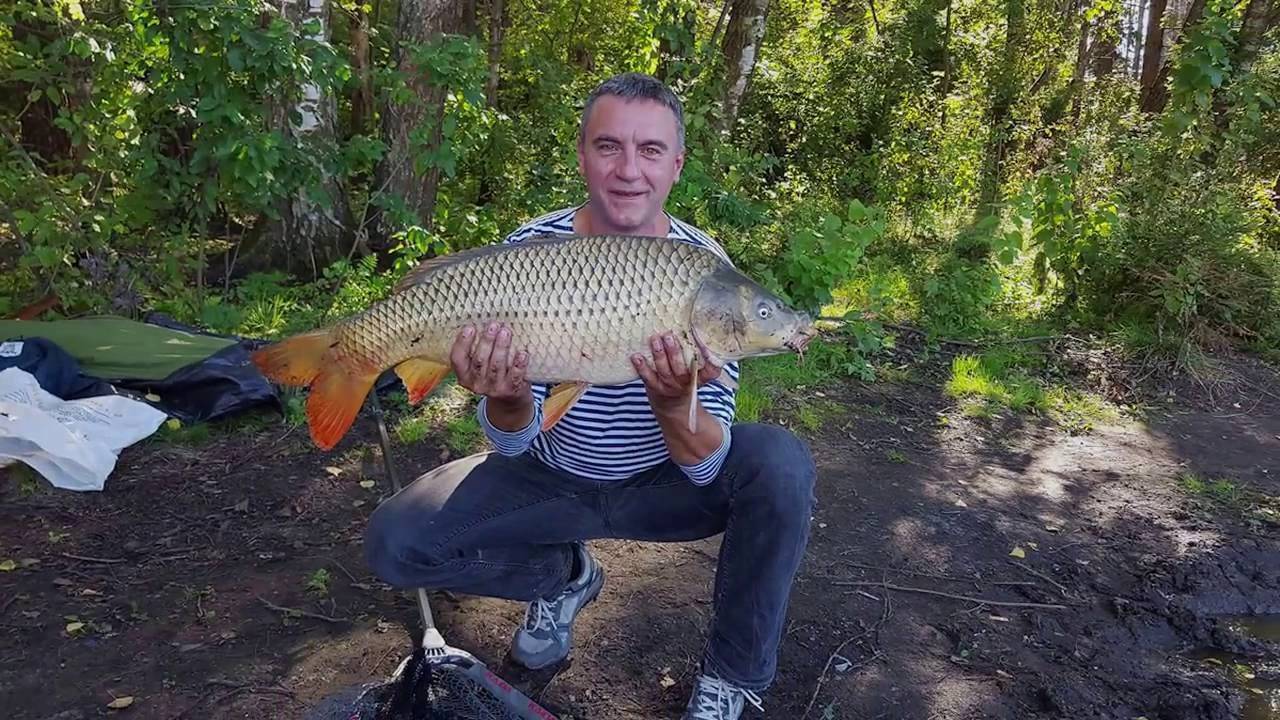 Рыбхоз гжелка: как доехать, схема прудов, какую рыбу можно поймать
