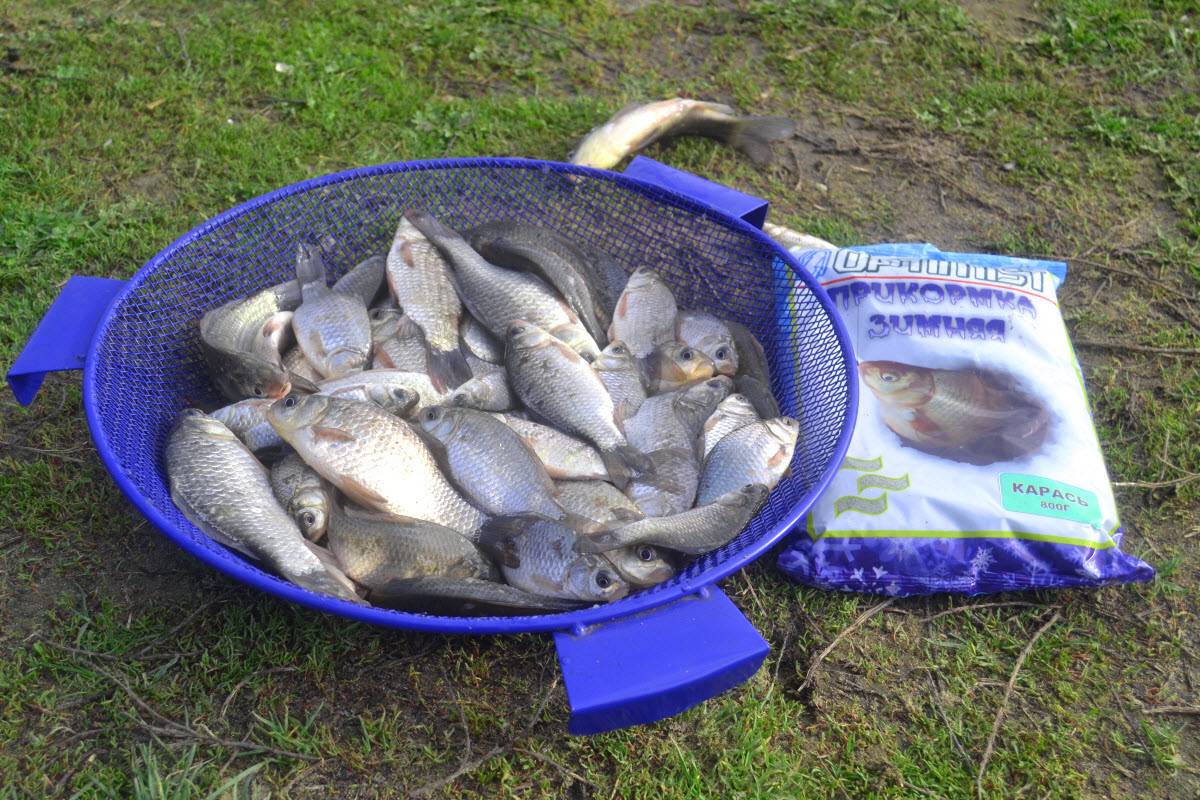 Рыбалка в хакасии: фото и отзывы. реки хакасии: рыбалка