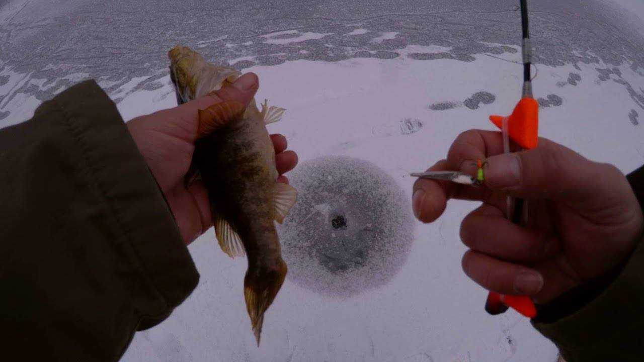 Ловля ротана в январе - читайте на сatcher.fish