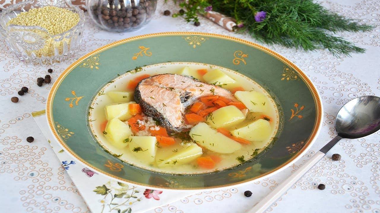 Уха из головы сёмги: польза и вред рыбного бульона, суп из хвоста