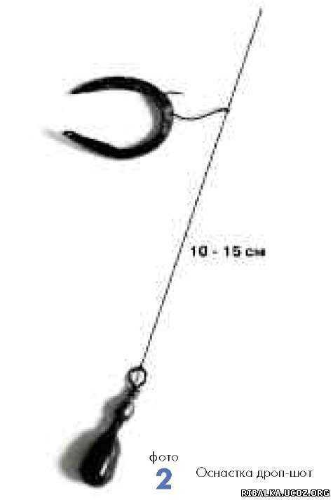 Ловля ротана спиннингом на дропшот: оснастка и правильная проводка - читайте на сatcher.fish