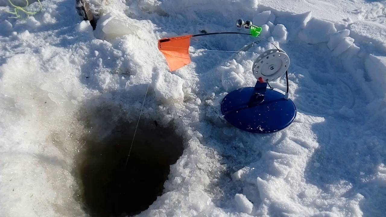 Ловля форели зимой со льда - снасти, приманки, тактика успешной рыбалки