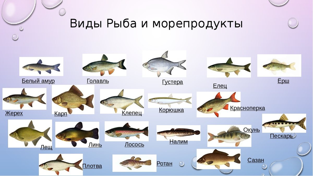 Хозяйке на заметку: 8 видов рыбы, в которой меньше всего костей